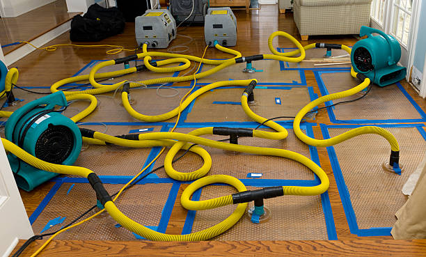 Professional Water Damage Restoration technician working in Franconia, NH